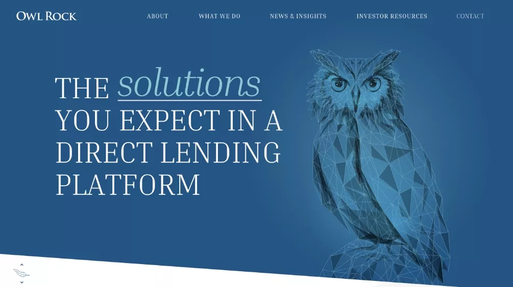 LL_Portfolio-Blue-Owl
